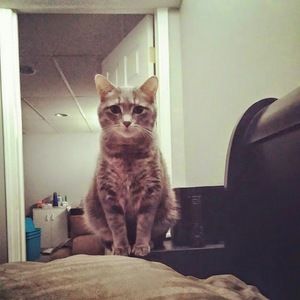 Meet your Posher, Heather